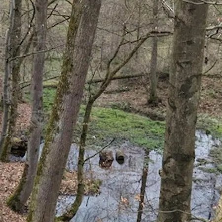 Flat Near The Willingen Area *